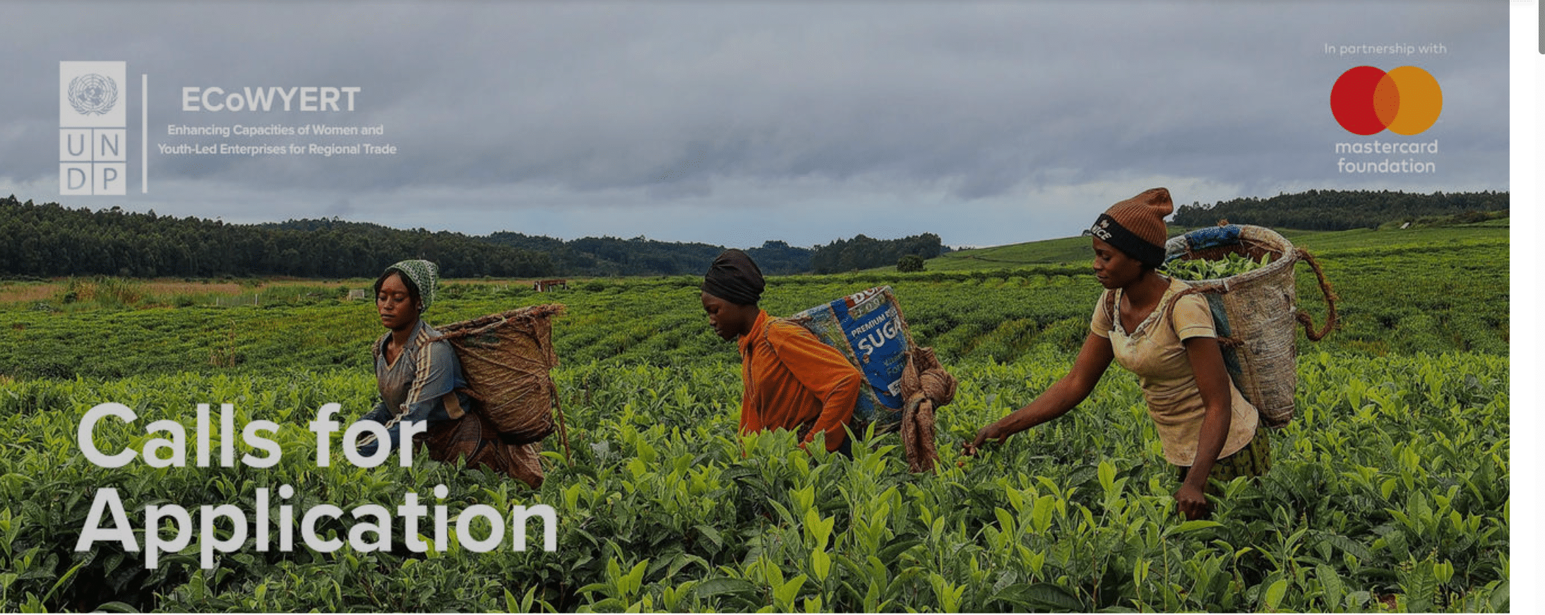 UNDP ECoWYERT Program 2025–2030: Empowering Women, Youth, Entrepreneurs, and Traders for Regional Trade Growth Across Africa