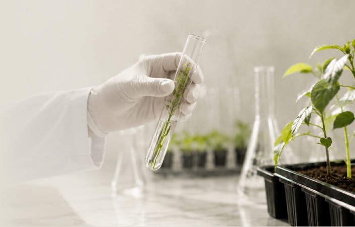MENA Regenerative Agriculture Venture Programme 2026/2027