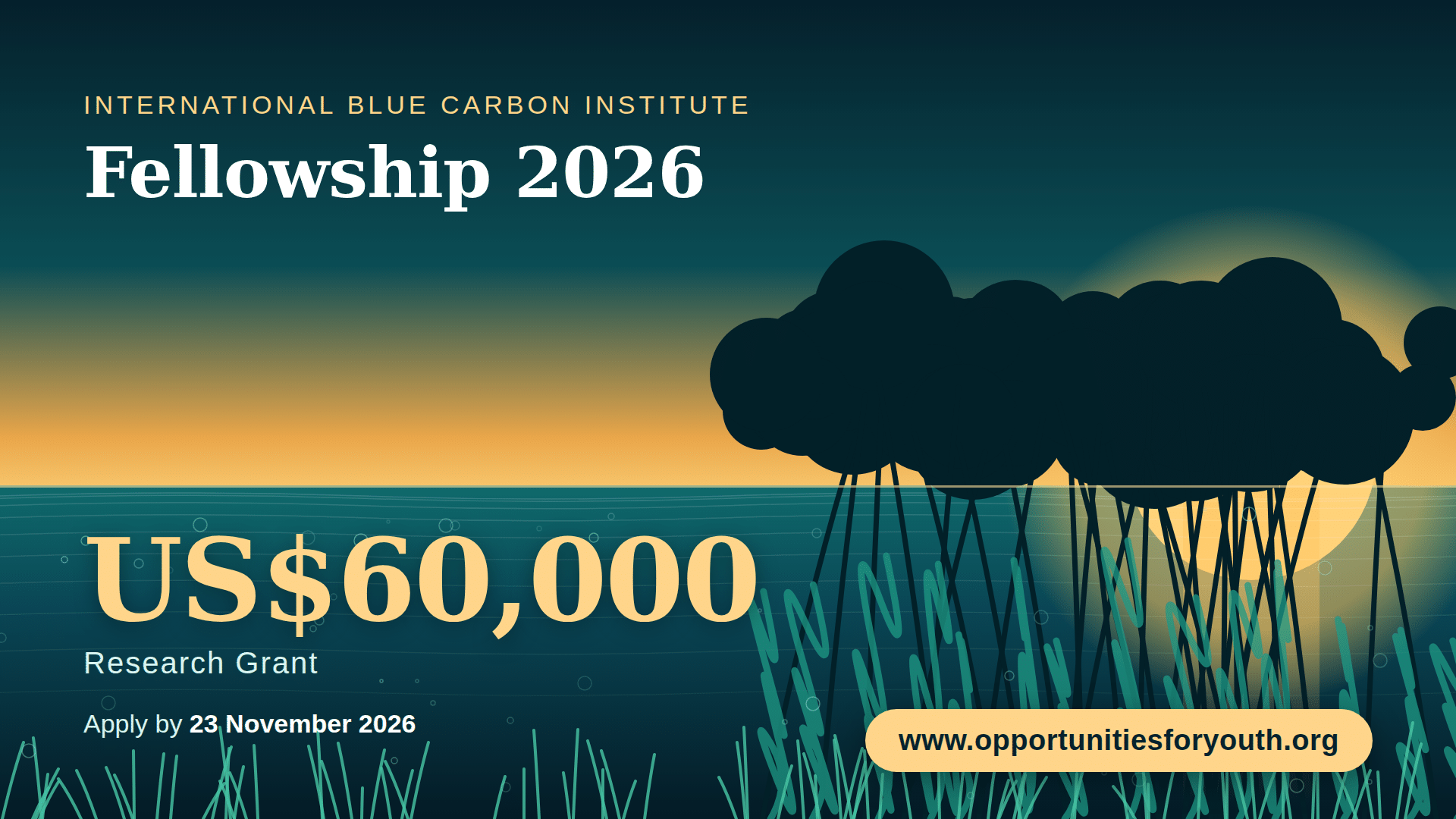 International Blue Carbon Institute (IBCI) Fellowship 2026: $60,000 Research Grant for Blue Carbon Scientists and Practitioners