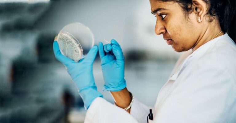 Novo Nordisk Foundation Postdoctoral Fellowships at Massachusetts Institute of Technology 2027 (Funded)
