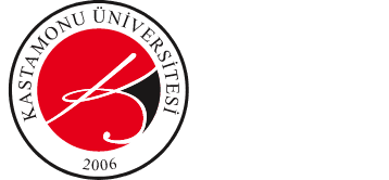 Kastamonu University