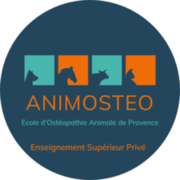 Animosteo