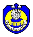 Sinnar University