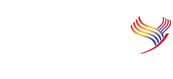 Romanian-American University