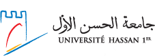 Hassan First University
