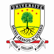 Université Denis Sassou Nguesso