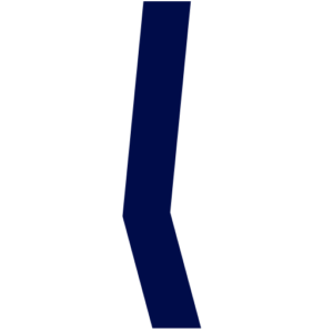EUNEIZ University
