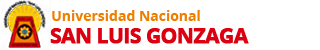 San Luis Gonzaga National University